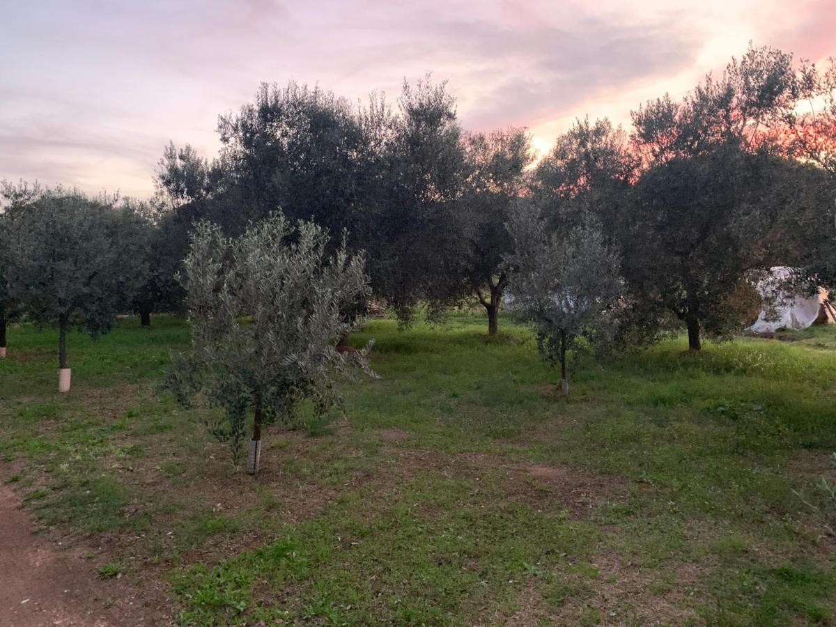 Camera Graziosa Albinia Bagian luar foto