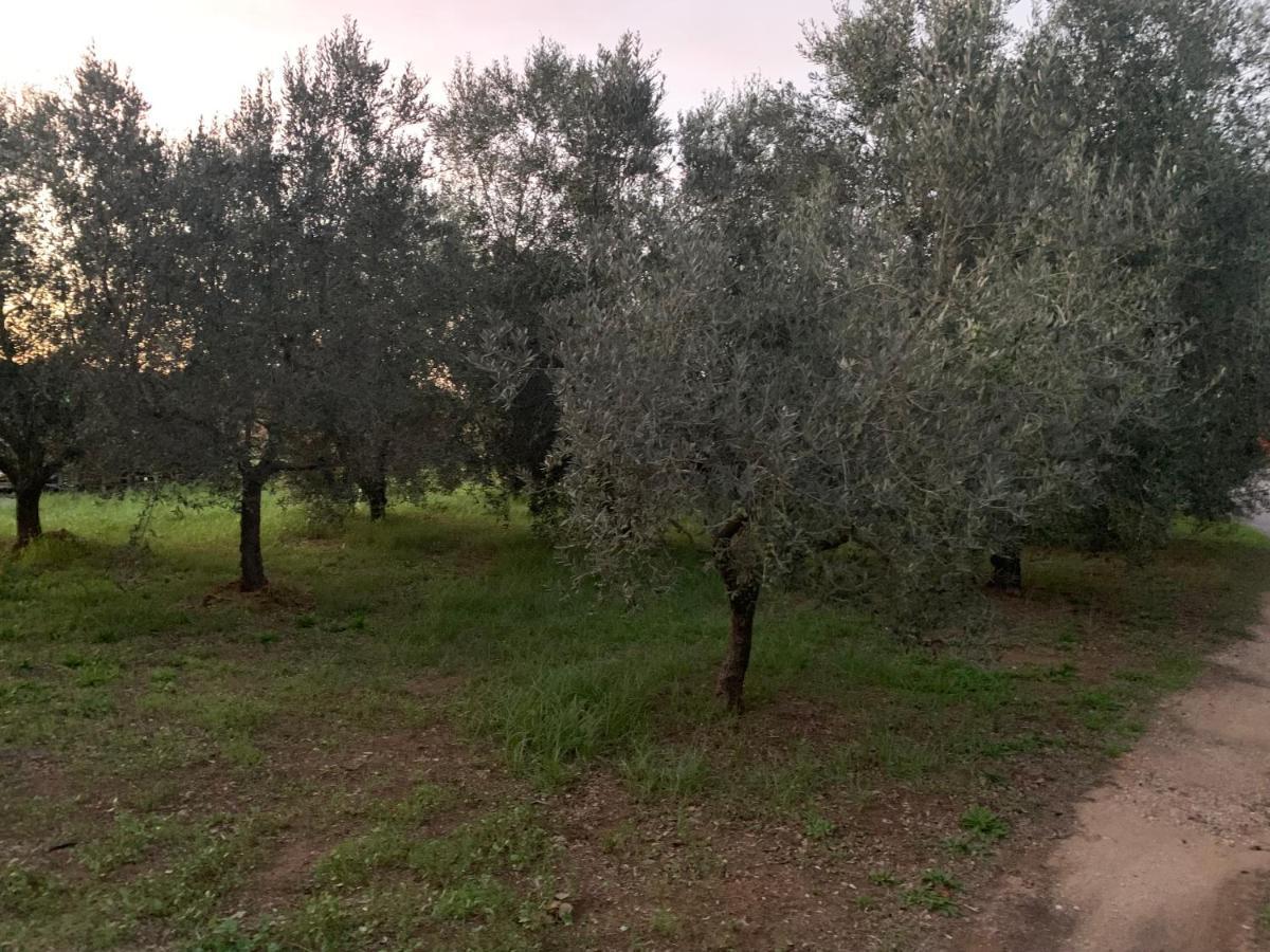 Camera Graziosa Albinia Bagian luar foto