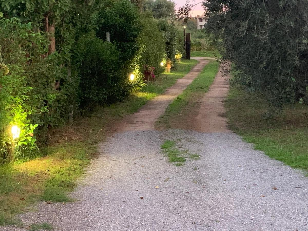 Camera Graziosa Albinia Bagian luar foto
